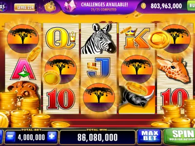 Bodog main interface