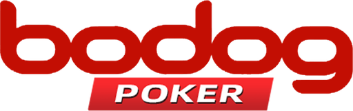bodogargentina.info Logo